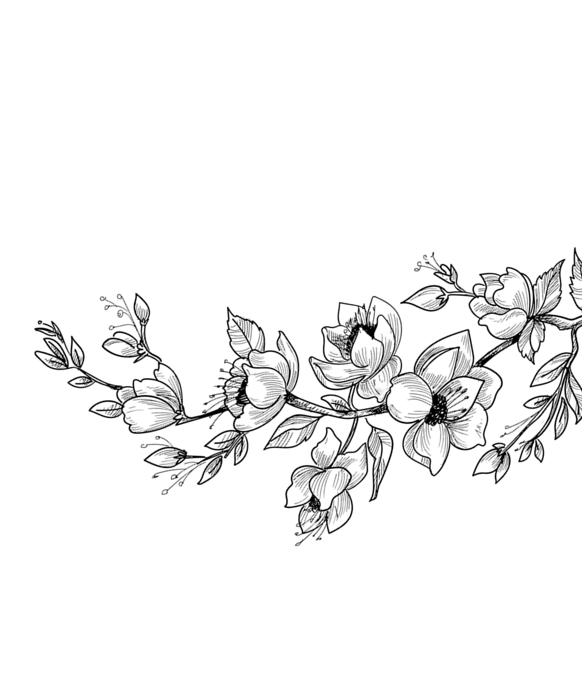 Flower sketch right
