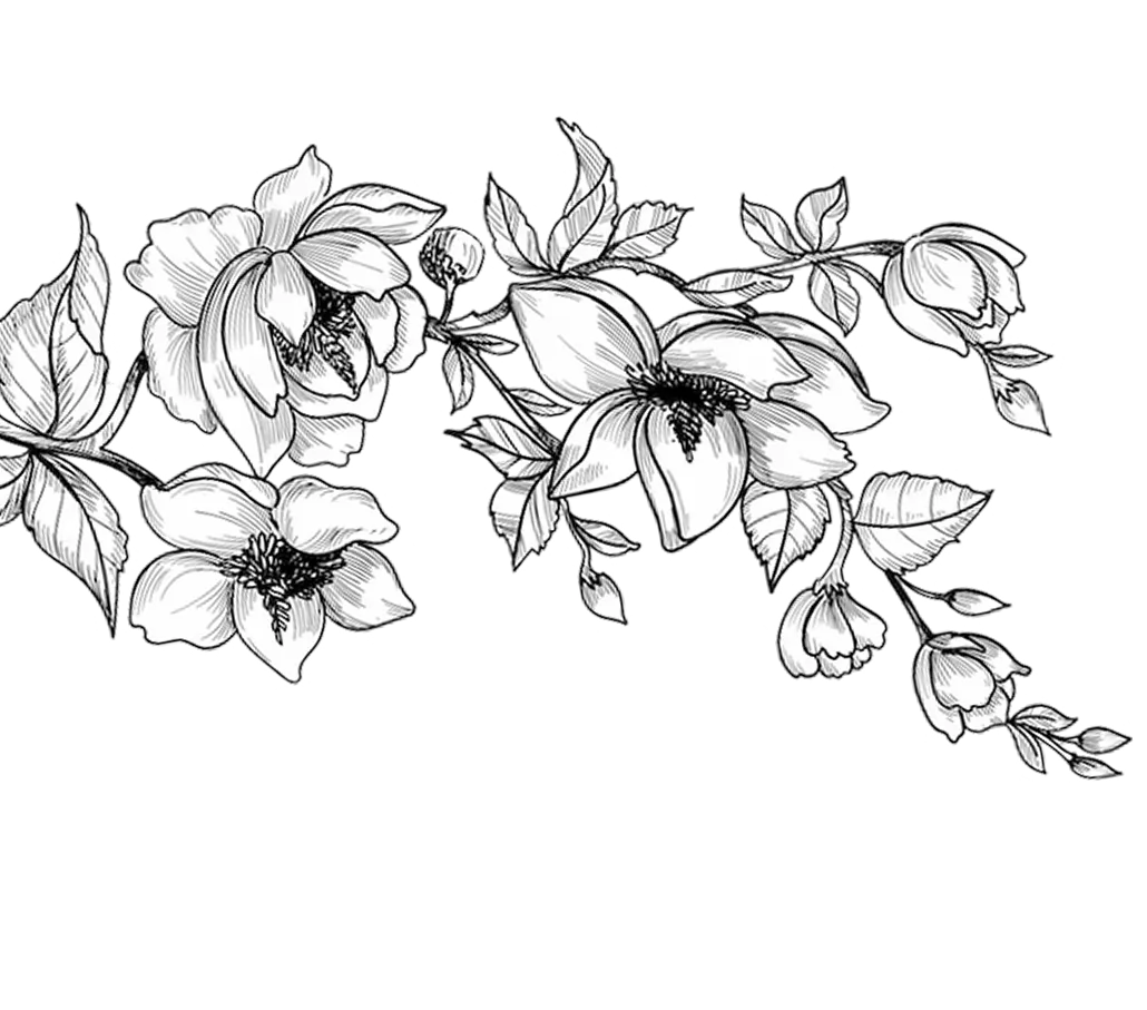 Flower sketch left